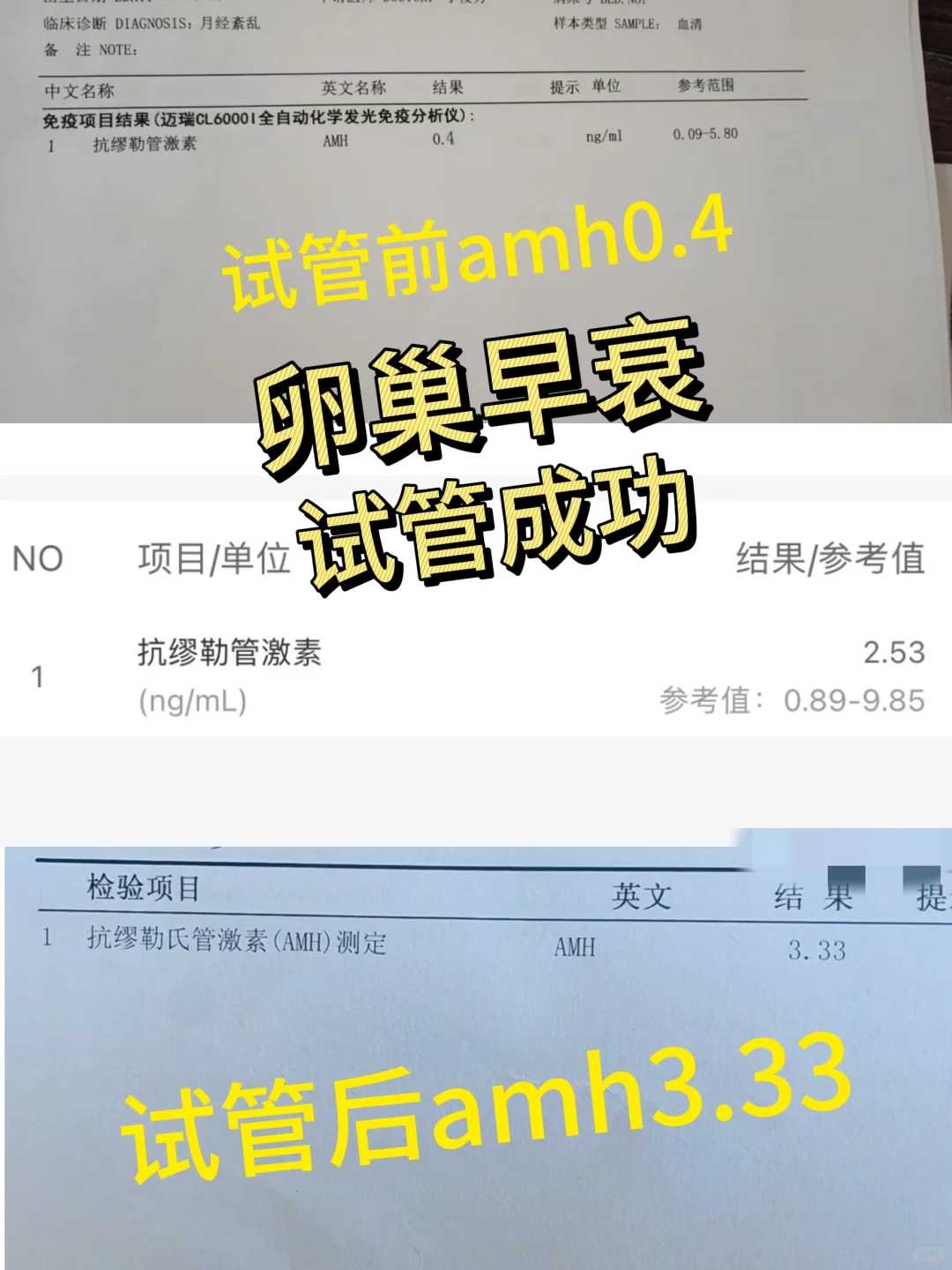 全国各地放生组织名称，放生组织不吃鱼中式咸鱼等115种物质也致癌