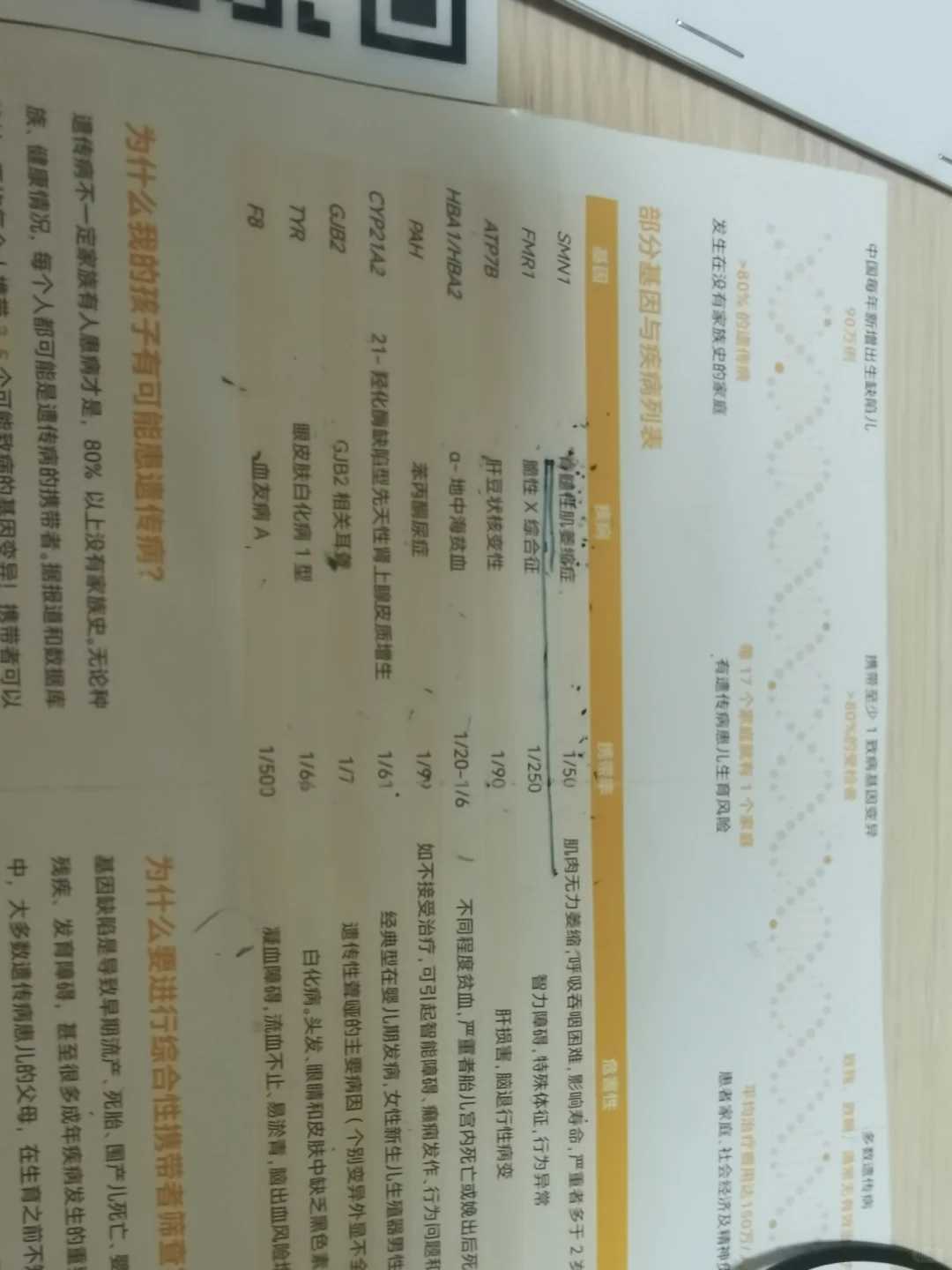 台湾山哪里放生鸟最好，赠台湾慈宗学会组诗