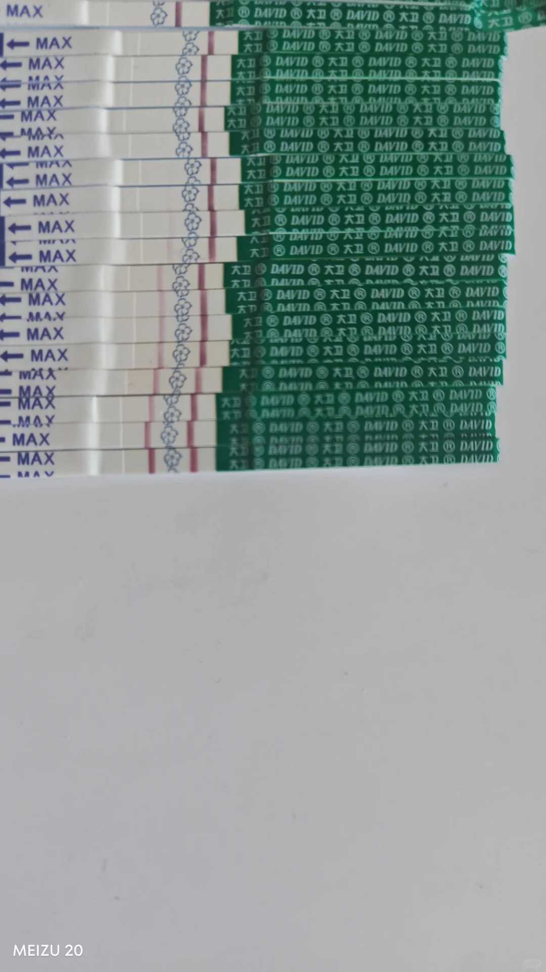 郑州哪里可以放生牛蛙，第九届中国郑州国际少林武术节即将开幕(图)