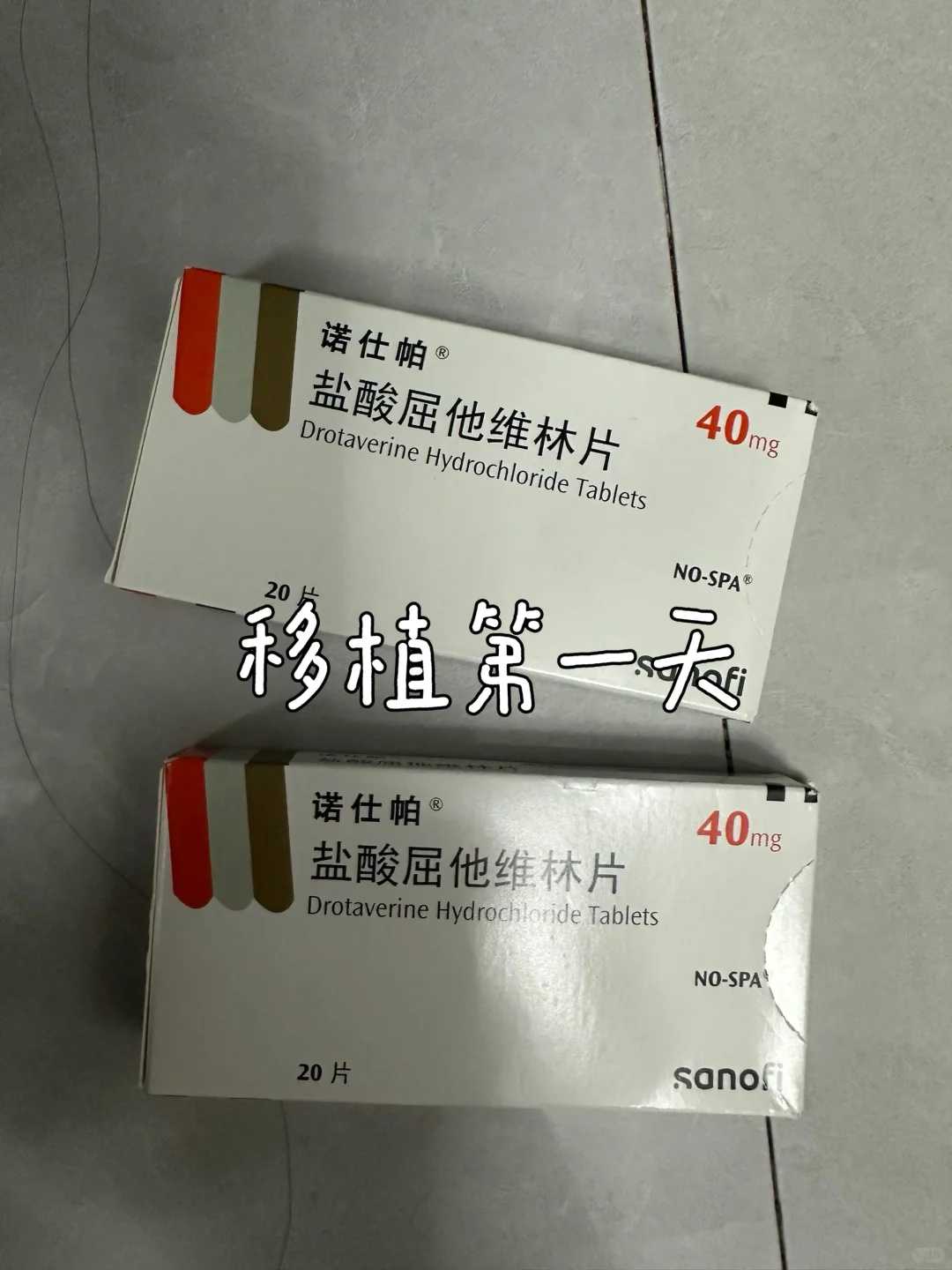 乌龟怎样放生才能活的久一点，纯智法师：怎样才能让正法久住？（246—250）