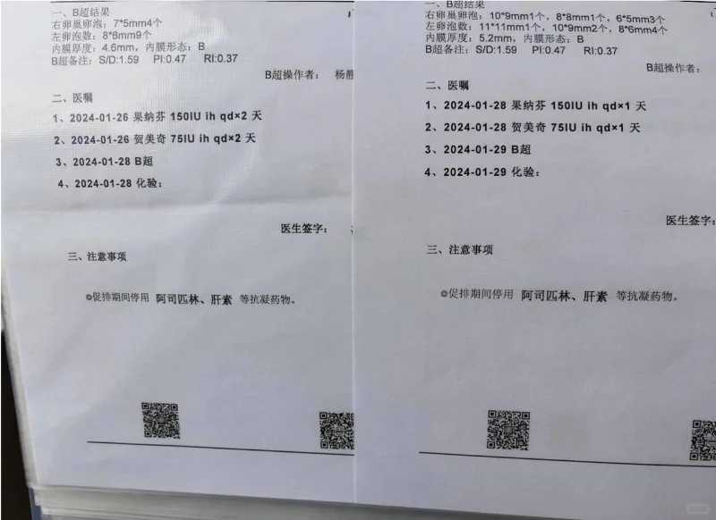 放生鸟类需要办理什么手续，十几年放生鸟类的经验总结