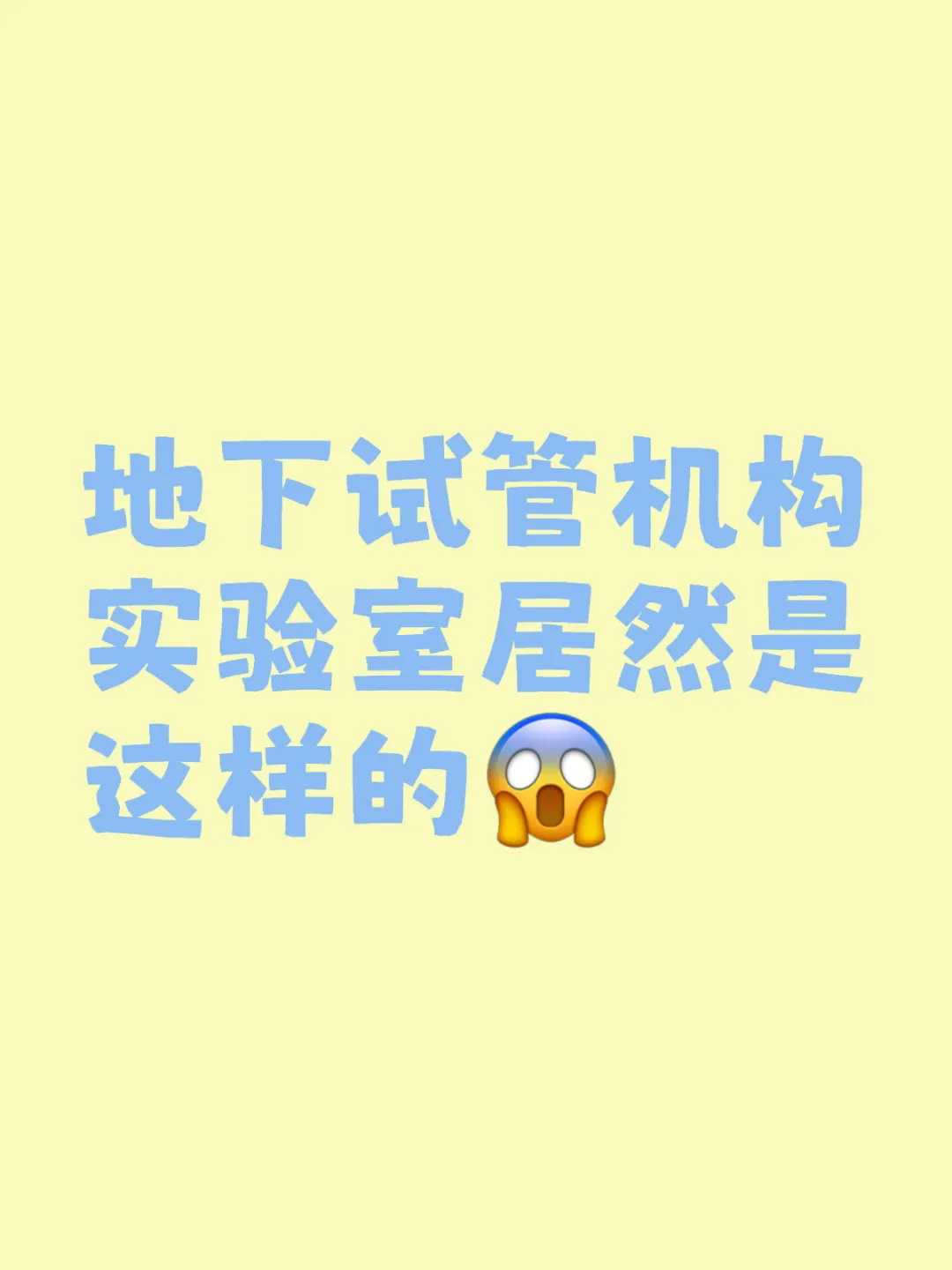 放生猫有什么讲究吗，猫为什么顺毛