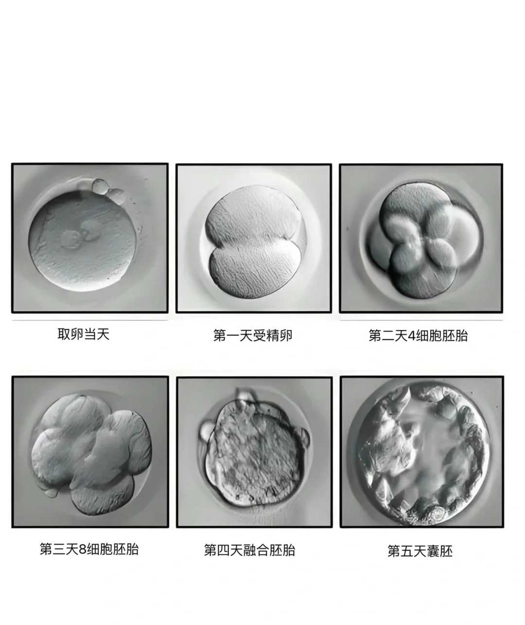 过生日的时候放生好吗，过生日当天放生的好处