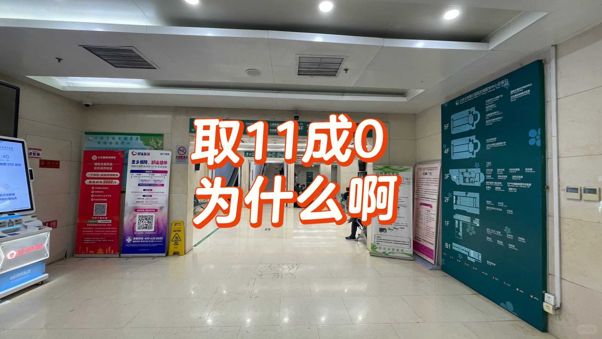 领略极乐世界的庄严风貌：从佛七开示中洞悉一切