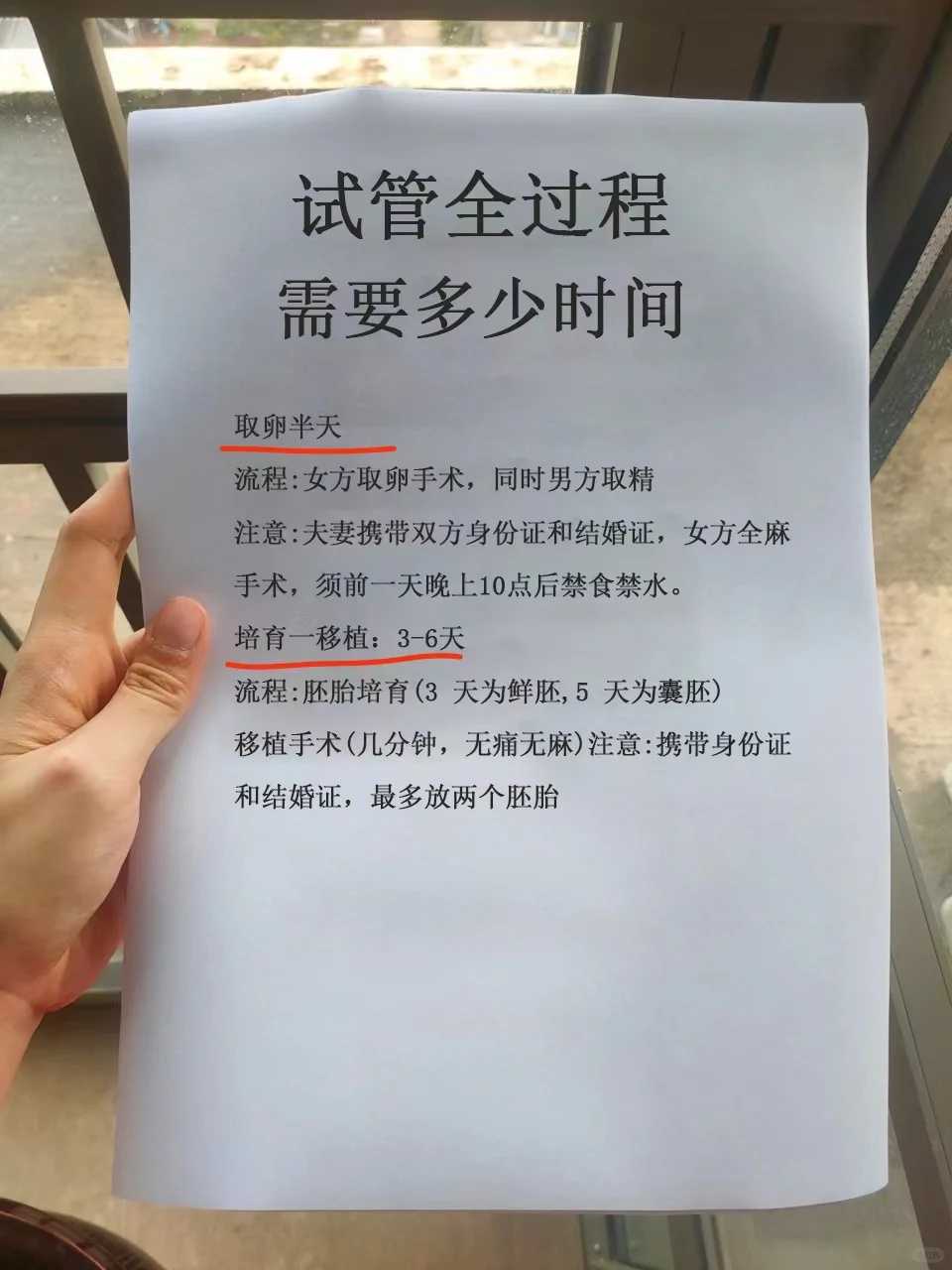香港放生会成功吗,香港鸽子放生地点,香港放生红鲤鱼的寓意和象征