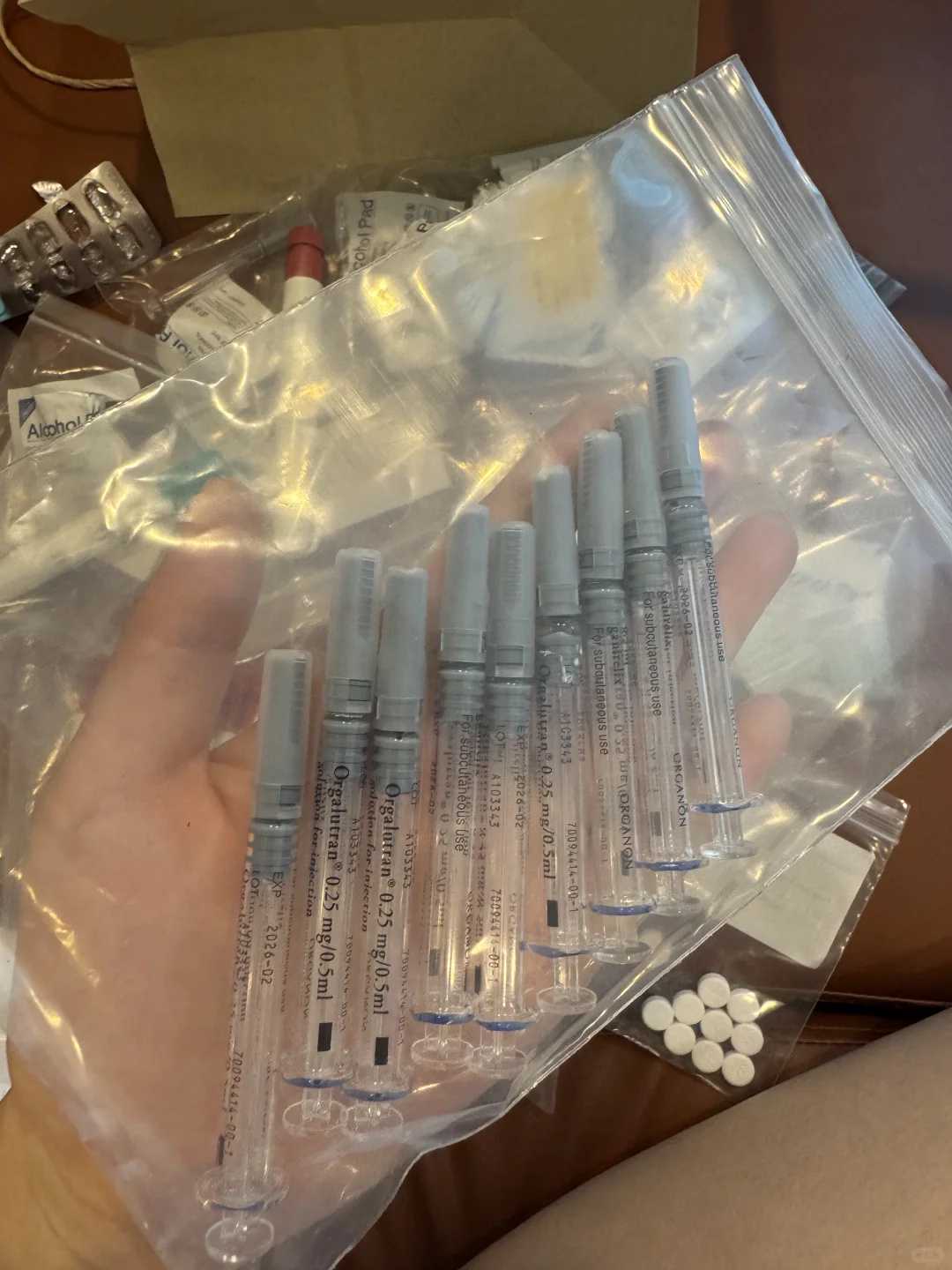 上海甲鱼在哪里放生（上海哪里可以放生最好）