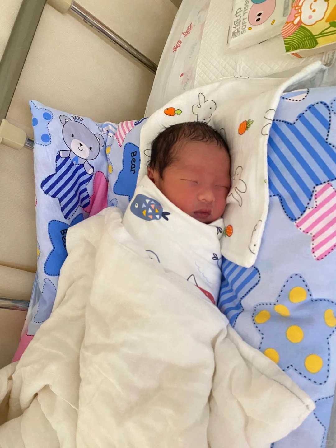 厦门放生甲鱼的地方