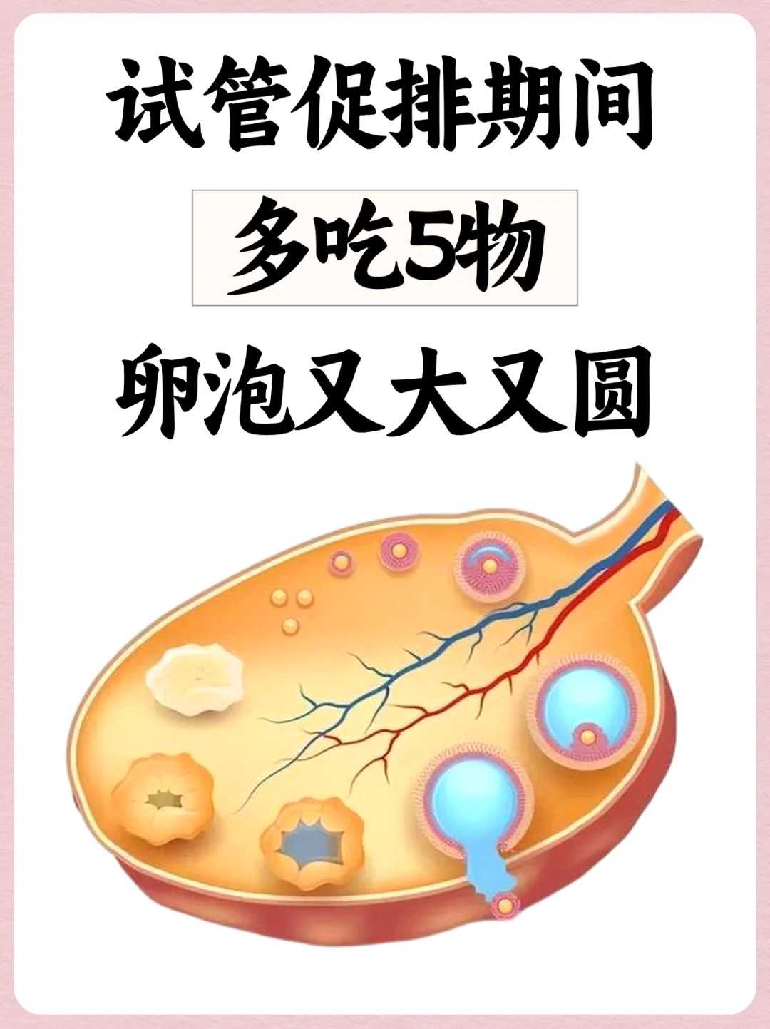河南哪里放生鸡河南,河南哪里放生锦鲤最好【河南放生地点少有人】
