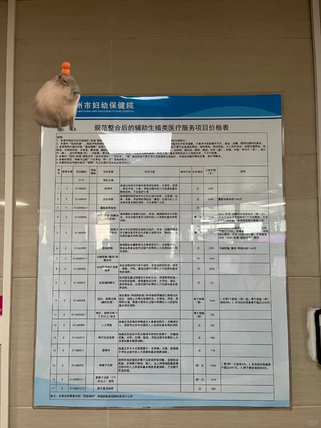 帮去世的人放生能利益吗，放生的殊胜功德利益