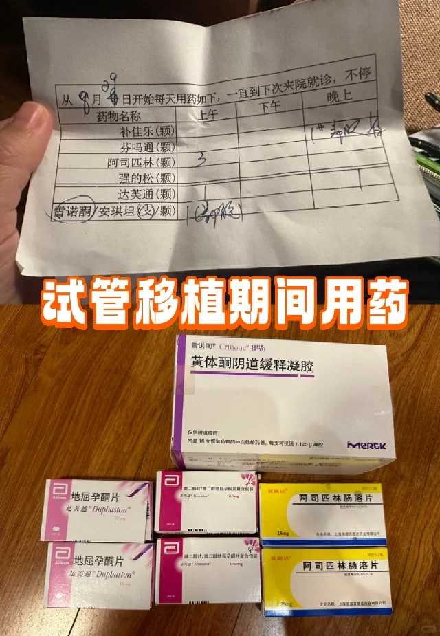 三亚何地可以放生动物，邹市明携妻带子游三亚，放生两百多岁海龟竟当场感动