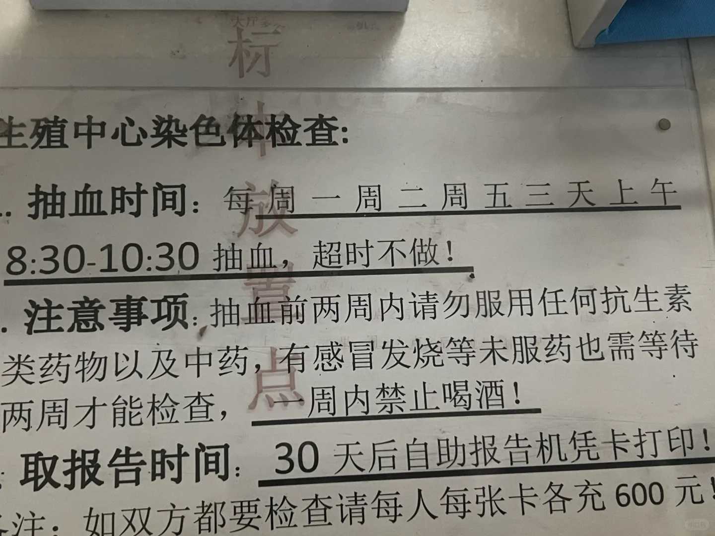 乌龟需要放生吗，生气的乌龟