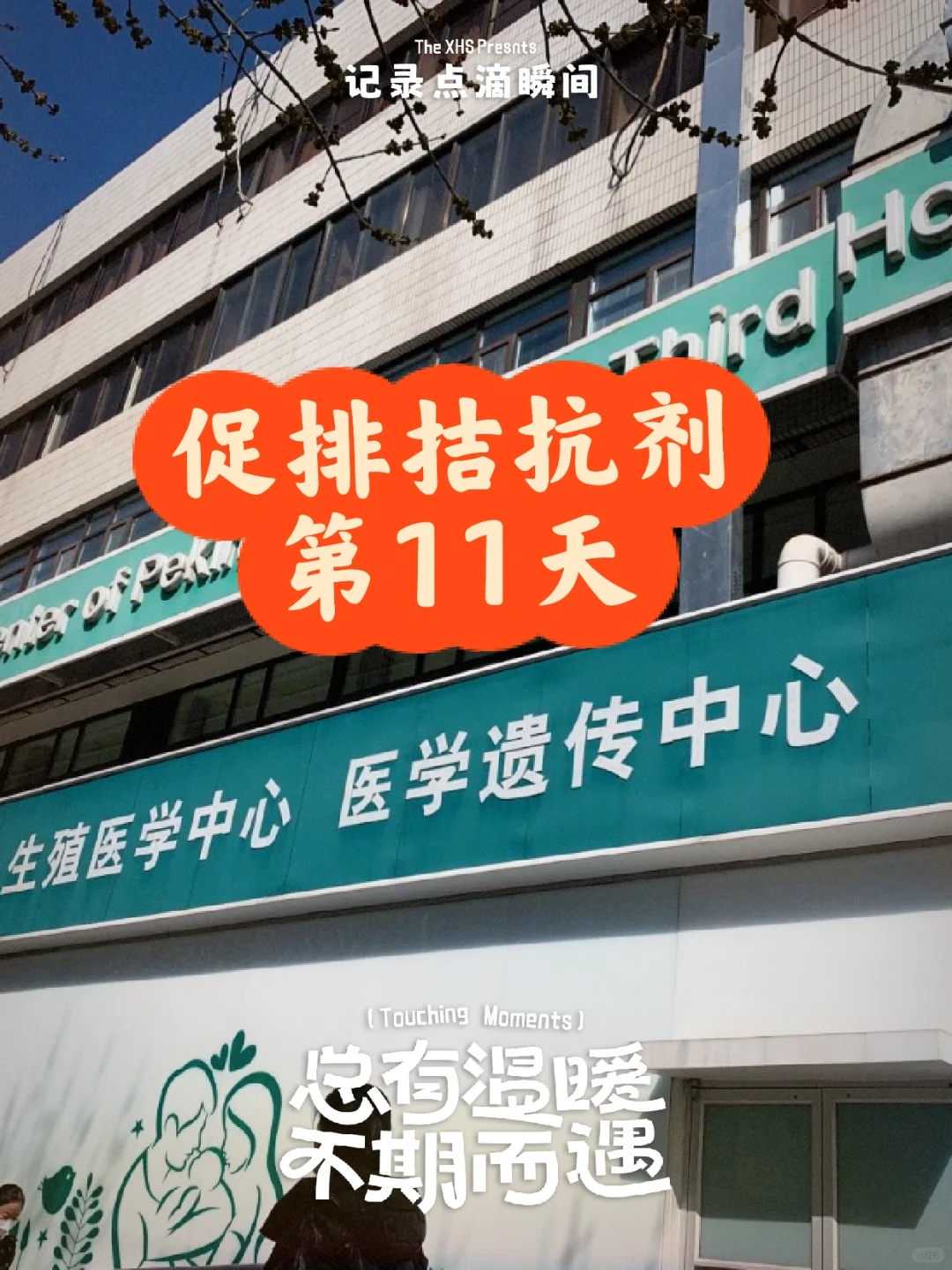 放生应该念什么经文好，如何放生？放生要念什么？放生有什么好处？