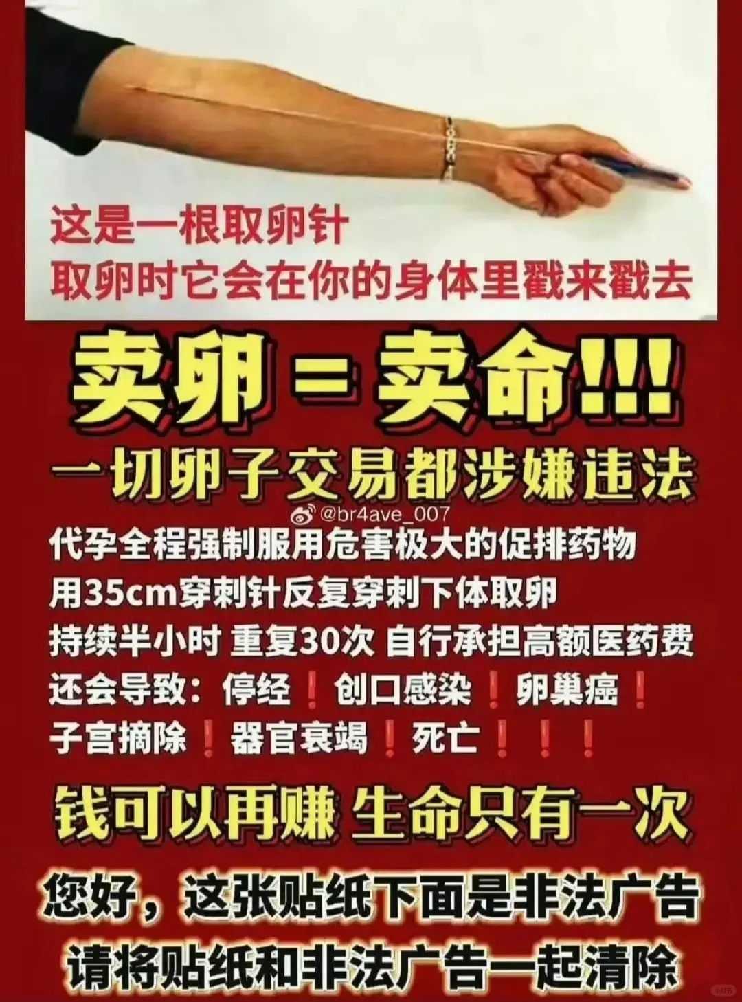 放生螺丝的功德广州,广州乌龟放生池【广州在哪放生比较合适】
