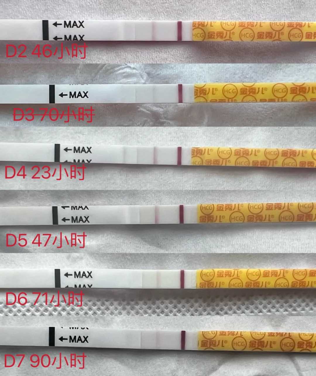 深圳乌龟放生池，天灾无情人间有爱——深圳弘法寺、深圳市智慧东方公益基金