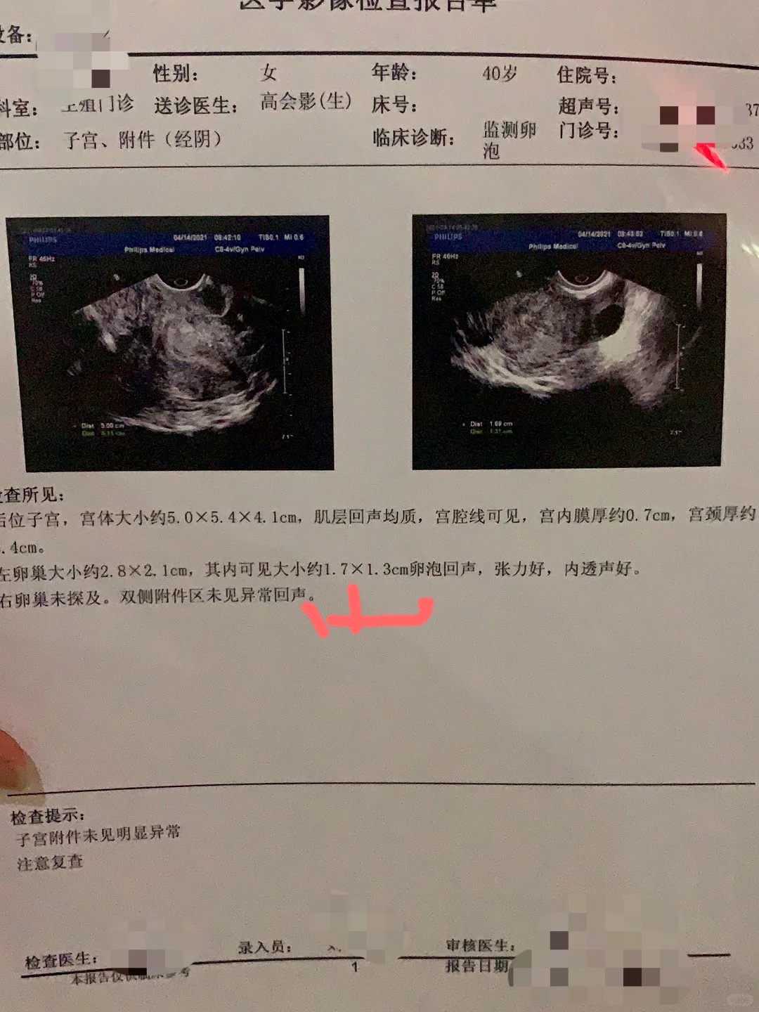 辩破传统束缚：《入中论》的第八次课程第十五讲详解