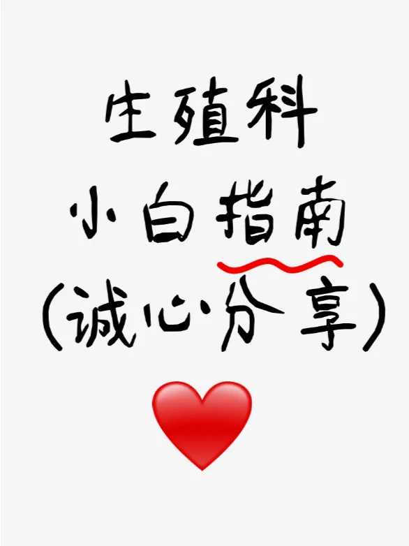 广州放生组织放生明细，独自在广州闯荡