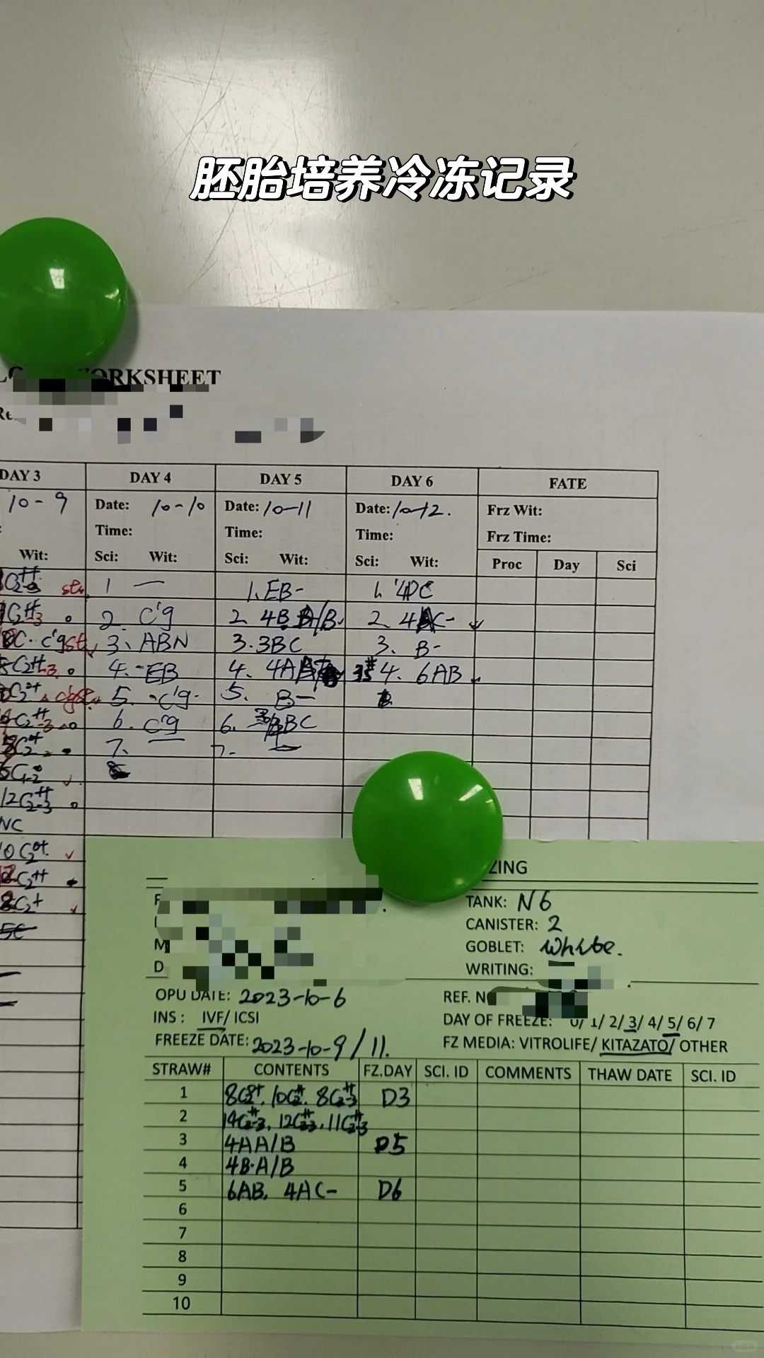 上海适合放生乌龟的地方，上海沉香阁方丈定慧法师宣讲《地藏菩萨本愿经》