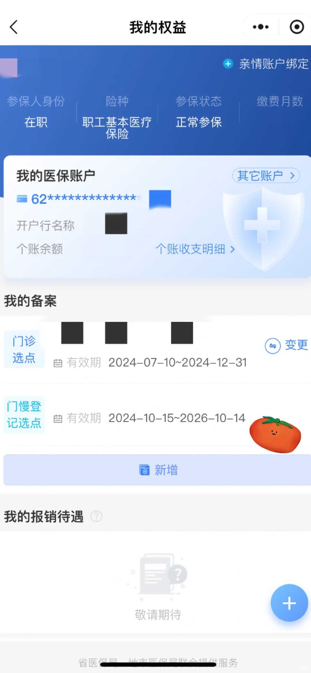 海南公园放生鹌鹑