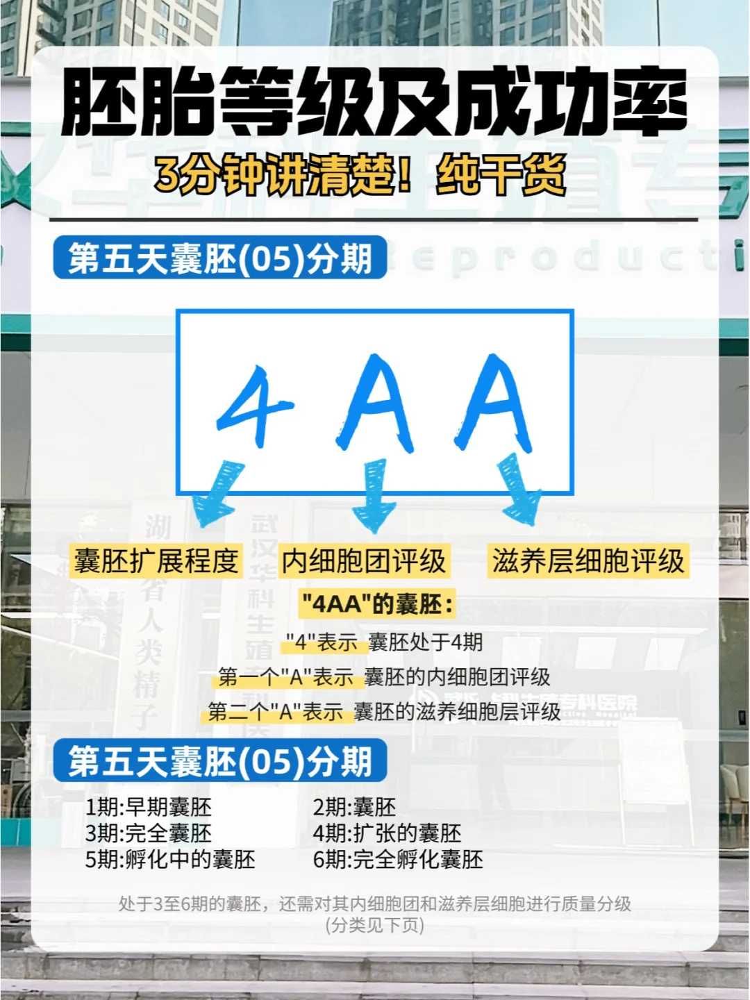 江西放生功德回向个儿子怎么回向，江西放生网，江西放生乌龟