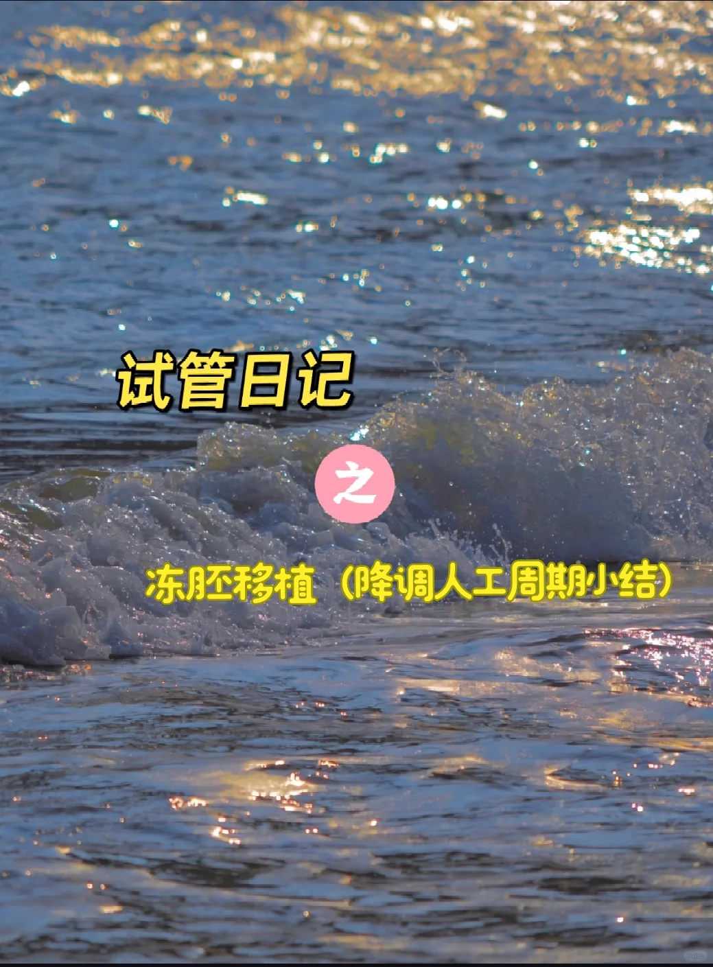 厦门公园可以放生鸟吗