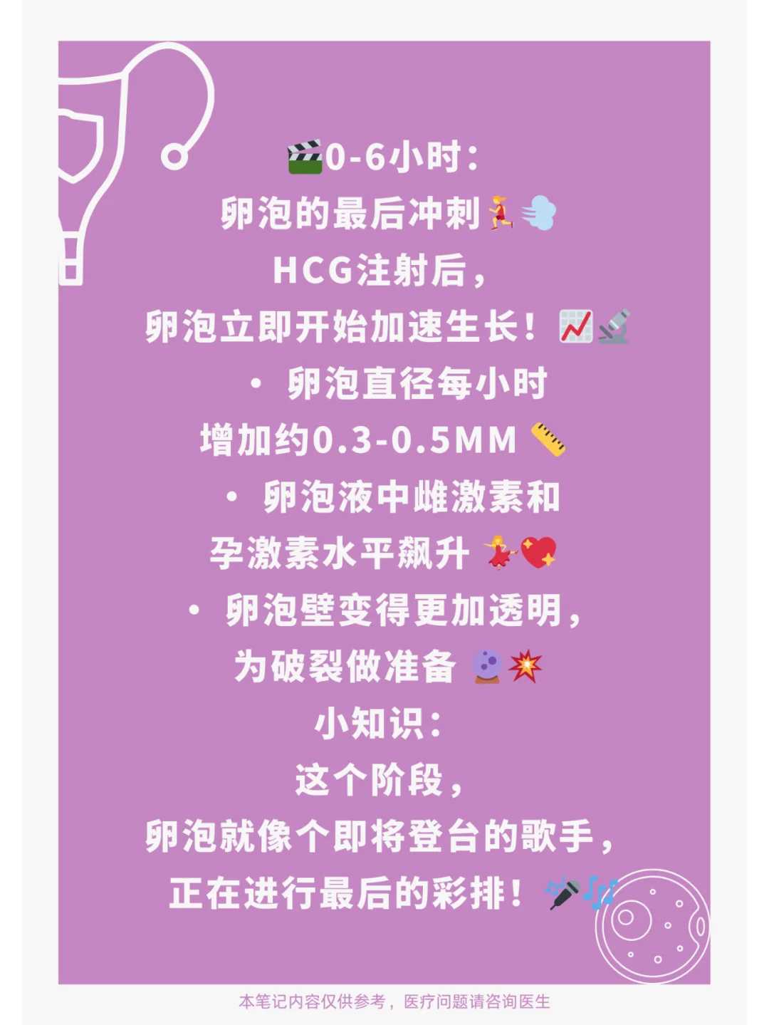 厦门哪里可以放生飞禽，厦门梵天禅寺恢复开放首日举行升国旗仪式