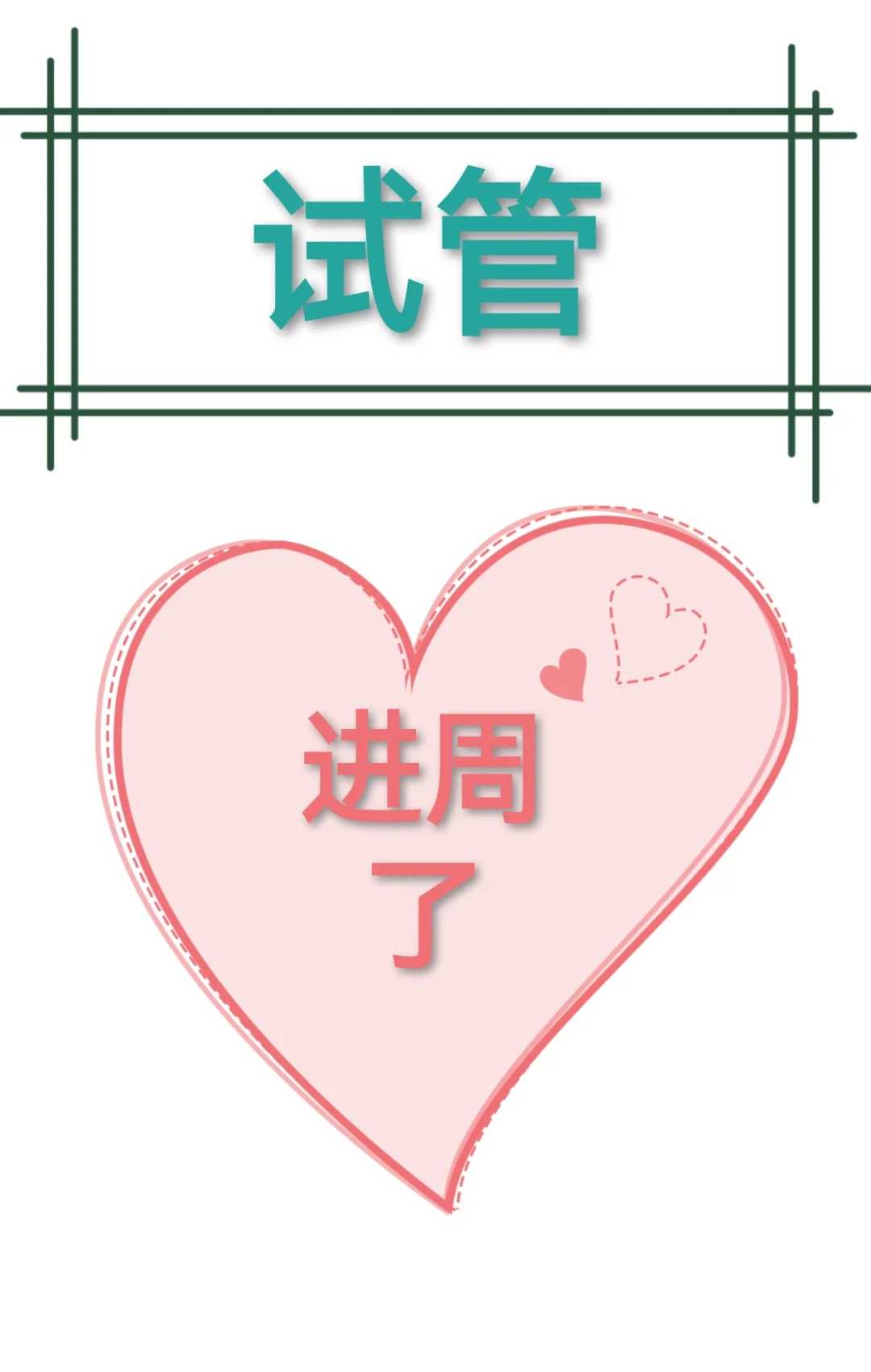 通往觉悟之路：详解阿含解脱道次第书教材第十四章四圣谛