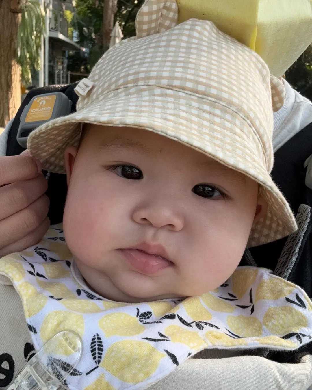 连云港放生蜈蚣在哪里，舌尖上的禅修立冬日品海上云台山连云港法起寺素斋